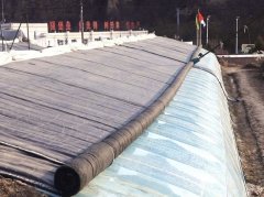 国网庆阳供电公司：供电办事进大棚 守护农户致