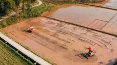 沉庆永川：党建引领农机社会化办事 帮推村级集